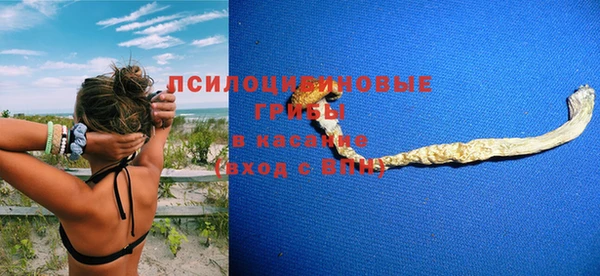 ГАЛЛЮЦИНОГЕННЫЕ ГРИБЫ Алзамай