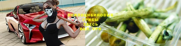 PSILOCYBIN Алексеевка