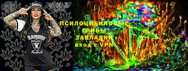не бодяженный Алексин