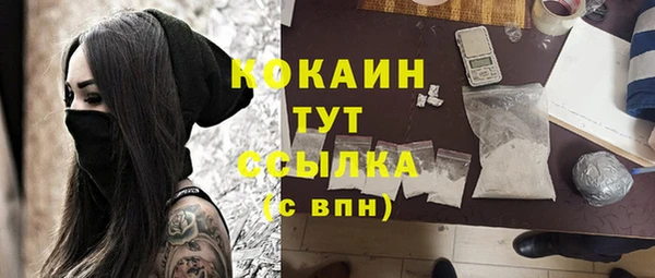 не бодяженный Алексин