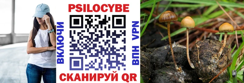 Псилоцибиновые грибы Cubensis  наркошоп  Североуральск 